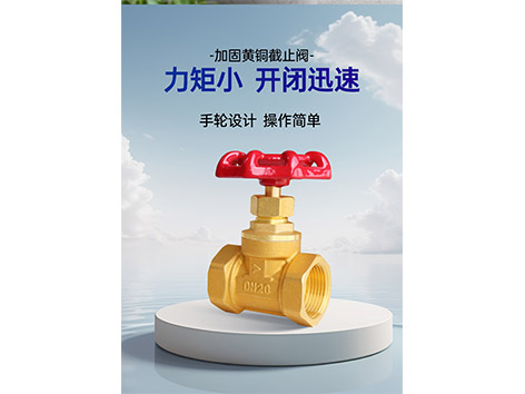 更換黃銅截止閥零件的注意事項(xiàng)有哪些-艾德默閥門