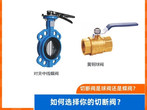 切斷閥是球閥還是蝶閥？如何選擇你的切斷閥？