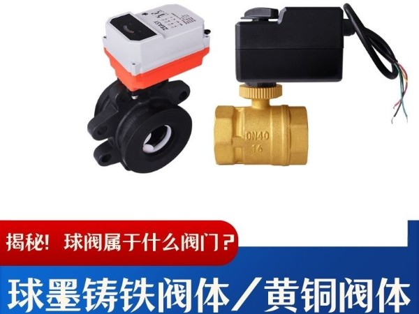 揭秘！球閥屬于什么閥門？