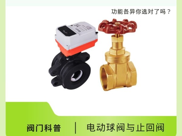 閥門科普：電動(dòng)球閥VS止回閥，功能各異你選對(duì)了嗎？