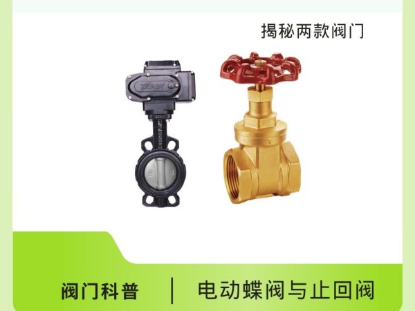 電動(dòng)蝶閥與止回閥：揭秘兩款閥門的獨(dú)門絕技！