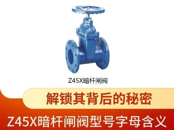 解鎖，Z45X暗桿閘閥型號字母含義，背后的秘密