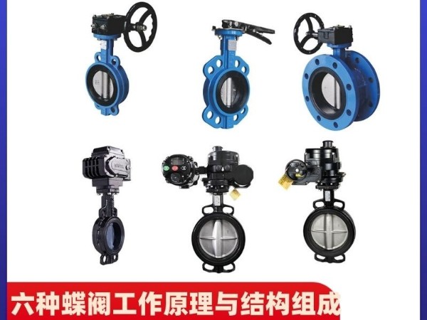 揭秘六種蝶閥工作原理與結(jié)構(gòu)組成一覽
