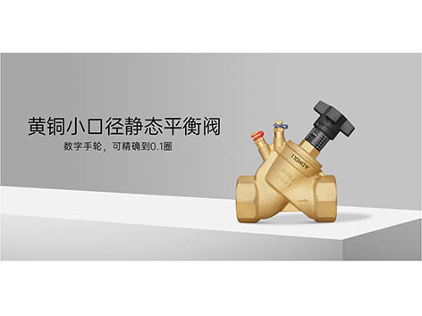 靜態(tài)平衡閥可以在平管上安裝嗎-艾德默閥門