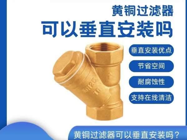 黃銅過濾器可以垂直安裝嗎？管道清潔守護(hù)者