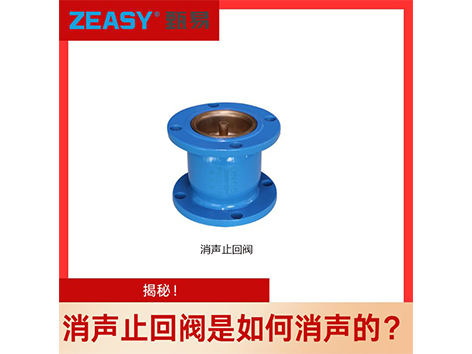 揭秘！消聲止回閥是如何消聲的？